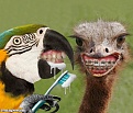 Click image for larger version

Name:	Birds-Brushing-Their-Teeth--121823.jpg
Views:	60
Size:	79.6 KB
ID:	60075