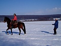 Click image for larger version

Name:	Skijoring With A Horse..jpg
Views:	125
Size:	70.9 KB
ID:	62307